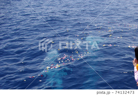 海洋散骨の風景、日本の新しい葬送の様式 海洋散骨の風景、日本の新しい葬送の様式 74132473