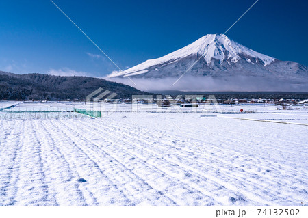 《山梨県》新雪の富士山・忍野村の雪原 74132502