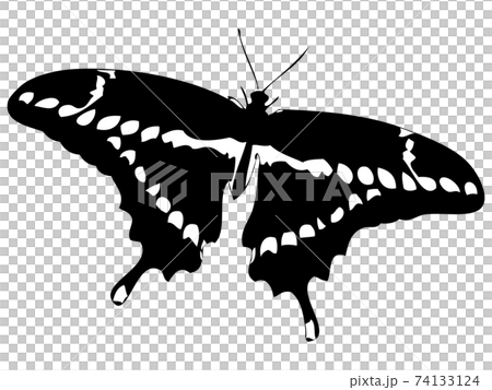 蝶シルエット 22のイラスト素材