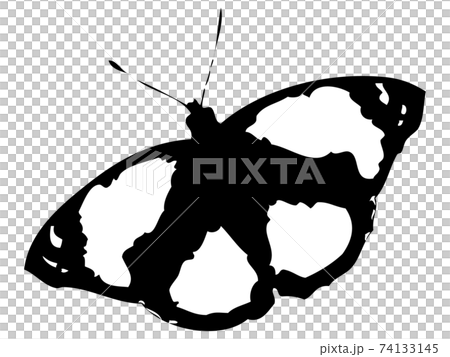 蝶シルエット 2のイラスト素材
