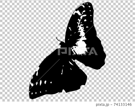 蝴蝶silhouette_1 74133146