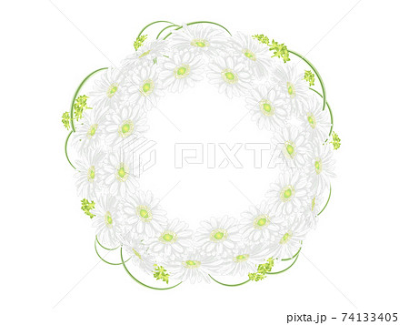 白いガーベラと葉っぱの丸いフレームのイラスト素材