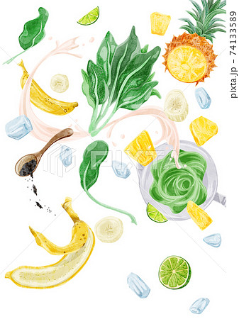 グリーンスムージの材料手描き水彩風イラスト グリーンスムージの材料手描き水彩風イラスト 74133589