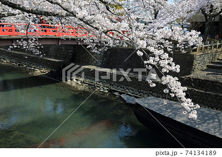 春の水門川・69（岐阜県大垣市） 74134189