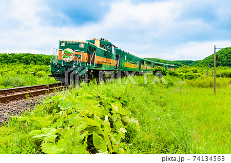 北海道 釧網本線(細岡ー塘路) 釧路湿原を走るノロッコ号 北海道 釧網本線(細岡ー塘路) 釧路湿原を走るノロッコ号 74134563