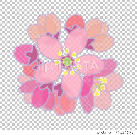 Cherry blossoms (pastel style) Temari bloom 74134573