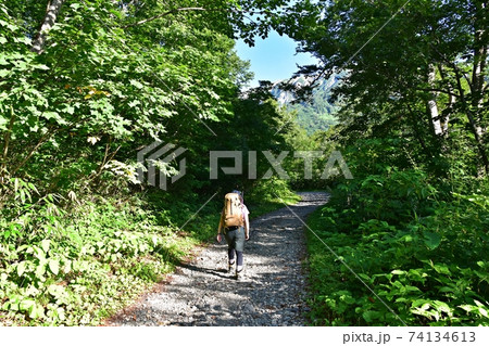 夏の白馬岳　猿倉登山口付近の登山道と登山客 74134613