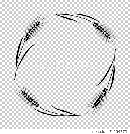 麦フレーム 74134775