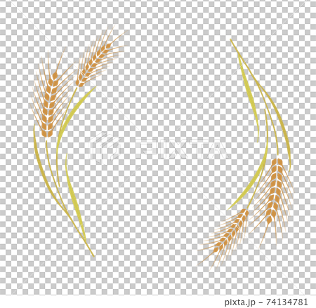 麦飾り枠 74134781