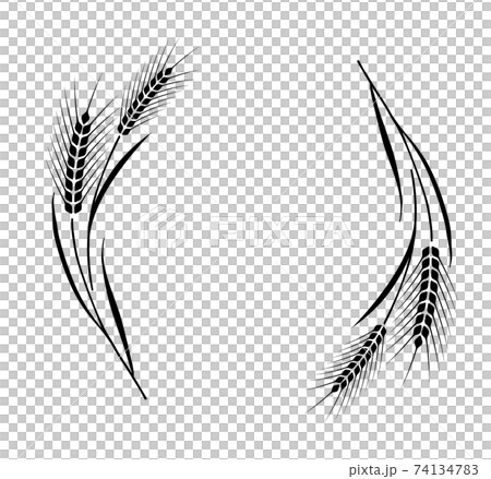 小麥裝飾框 74134783