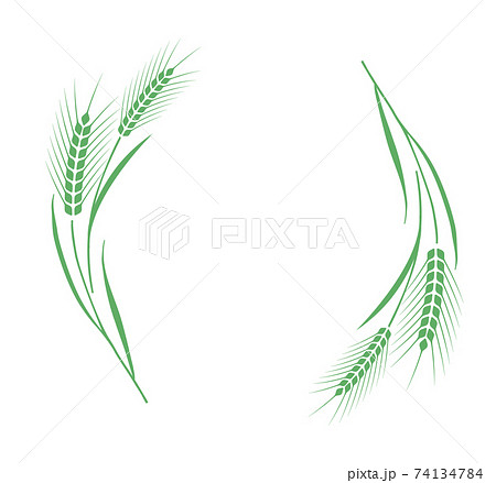 麦飾り枠 麦飾り枠 74134784