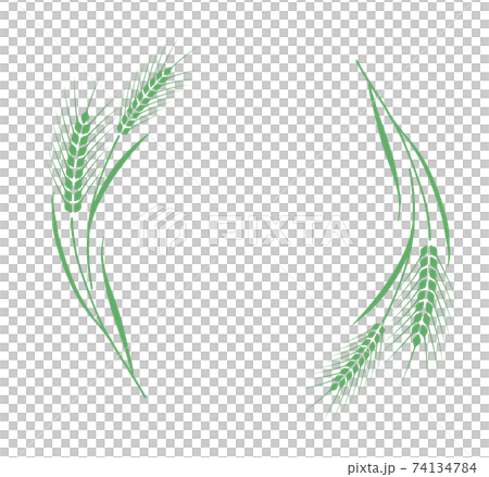 小麥裝飾框 74134784