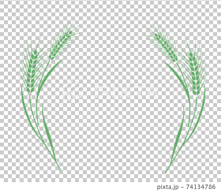 小麥裝飾框 74134786