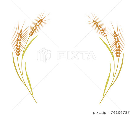 麦飾り枠 74134787