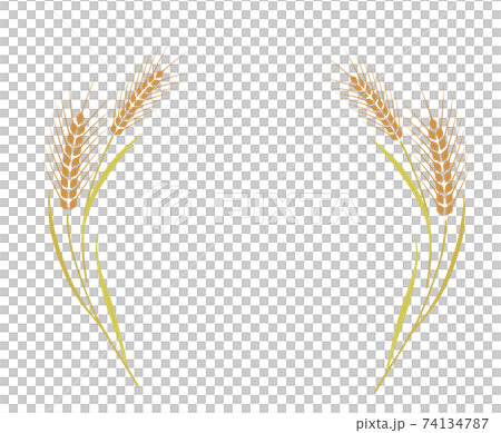 麦飾り枠 74134787