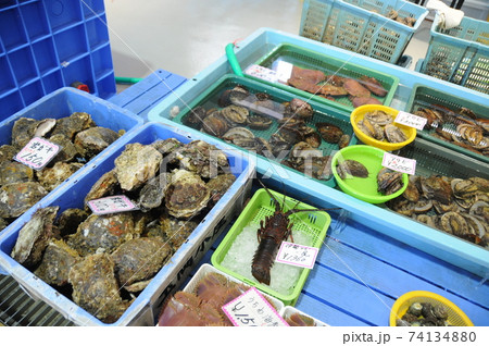 海鮮市場の牡蠣やエビ 海鮮市場の牡蠣やエビ 74134880
