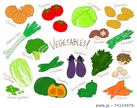 野菜 手描き イラストセットのイラスト素材 [74134979] - PIXTA