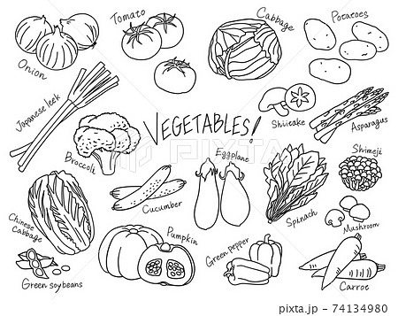 野菜 手描き 線画 イラストセットのイラスト素材