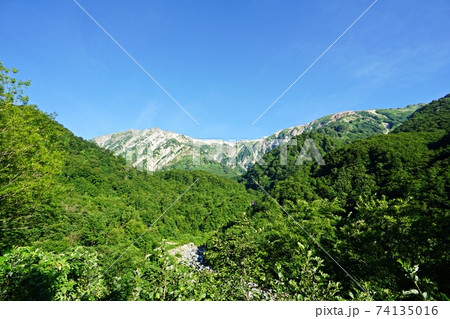 白馬連峰　猿倉付近からみた白馬岳から小蓮華岳に続く尾根 74135016