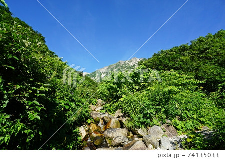 白馬連峰　登山道に流れる清水と白馬岳 74135033