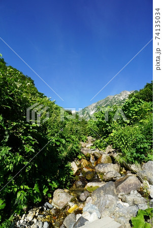 白馬連峰　登山道に流れる清水と白馬岳 74135034