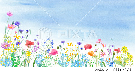 色々な花が咲く 春の野原の風景の水彩イラスト バナー背景 のイラスト素材