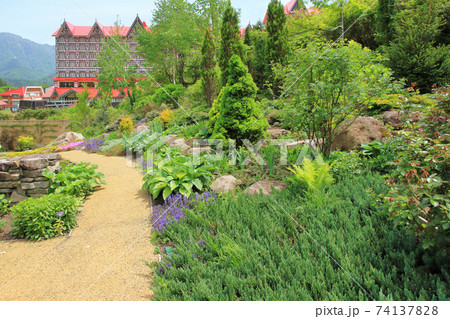 5月のイングリッシュガーデン 5月のイングリッシュガーデン 74137828