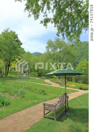 5月のイングリッシュガーデン 5月のイングリッシュガーデン 74137918