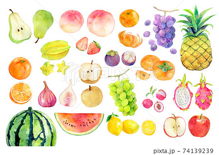 水彩イラスト 果物 フルーツのイラスト素材