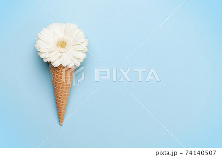 White gerbera flower in ice cream waffle cone White gerbera flower in ice cream waffle cone 74140507