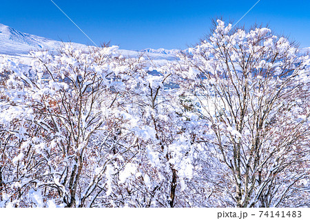 《山梨県》新雪の二十曲峠 74141483