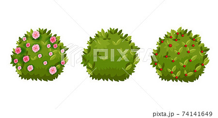 Spring bush, shrub green garden cartoon hedge set with green leaves, flower blossom,berries. Spring bush, shrub green garden cartoon hedge set with green leaves, flower blossom,berries. 74141649