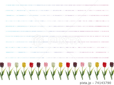 チューリップ便箋横のイラスト素材