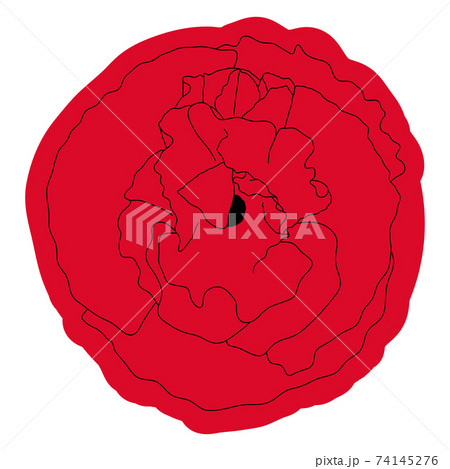 Poppy flower, bud, sketch and imitation watercolor Poppy flower, bud, sketch and imitation watercolor 74145276