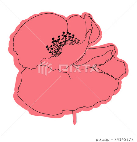 Poppy flower, bud, sketch and imitation watercolor Poppy flower, bud, sketch and imitation watercolor 74145277
