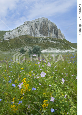 Chalk rocks in Belokuzminovka Chalk rocks in Belokuzminovka 74146624