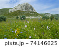 Chalk rocks and blossom meadow 74146625