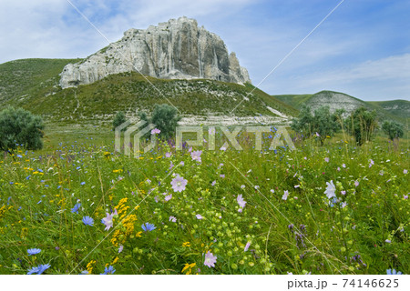 Chalk rocks and blossom meadow Chalk rocks and blossom meadow 74146625