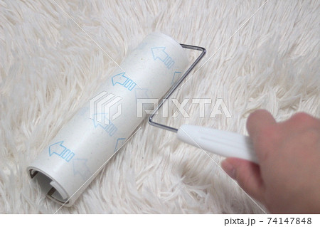カーペット掃除 カーペット掃除 74147848