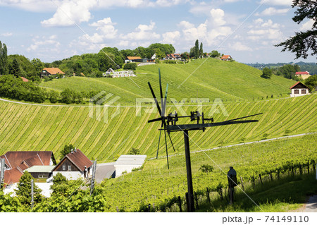 vineyard with windmill called klapotetz in south of Styria, Austria 74149110