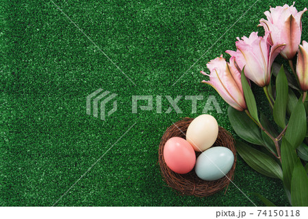 タマゴ 卵 たまご 74150118