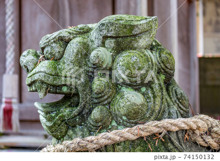 Lion-dog, or komainu, at a Shinto shrine in Kanazawa, Japan. Lion-dog, or komainu, at a Shinto shrine in Kanazawa, Japan. 74150132
