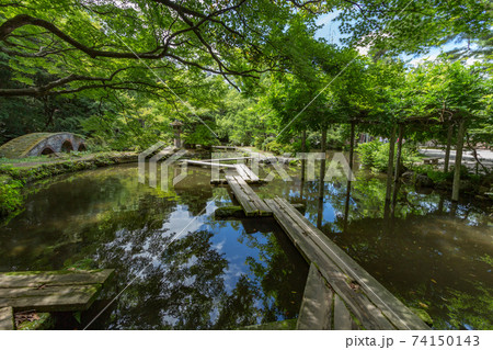Pond with wooden walkways, Kanazawa, Japan. 74150143