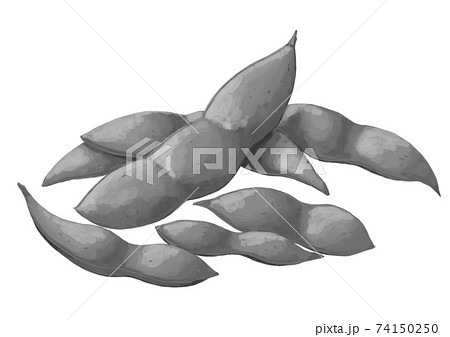複数の枝豆の白黒イラスト リアル風 のイラスト素材