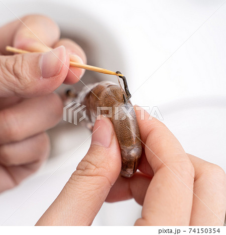 海老 エビ 蝦 74150354