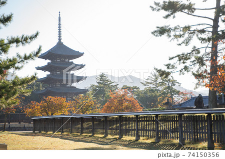 興福寺　五重の塔 74150356