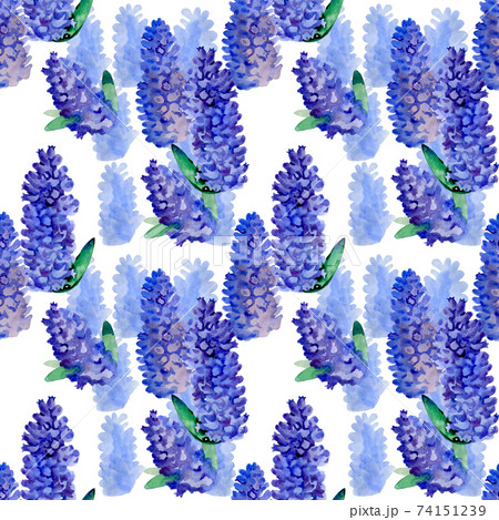 Lilac flowers bunch white art design background. Beautiful violet Lilac flower closeup. Watercolor nature floral background Lilac flowers bunch white art design background. Beautiful violet Lilac flower closeup. Watercolor nature floral background 74151239