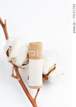Zero Waste Lipstick in paper packaging for make up Zero Waste Lipstick in paper packaging for make up 74151702