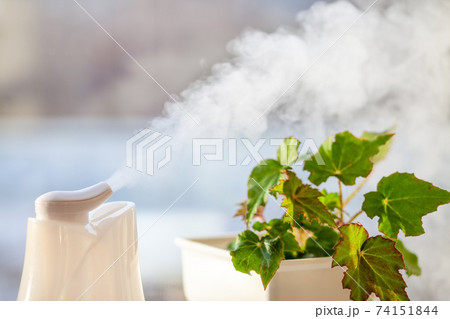 Humidifier at the window 74151844
