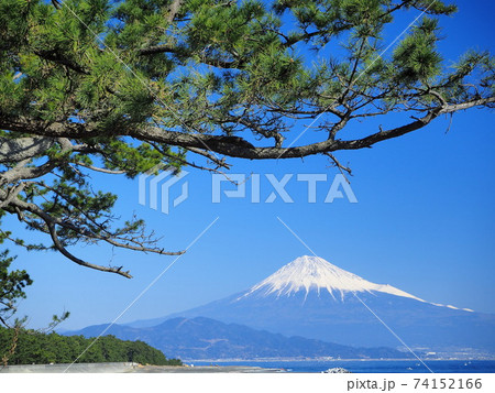 静岡県 三保の松原の風景 冬 静岡県 三保の松原の風景 冬 74152166